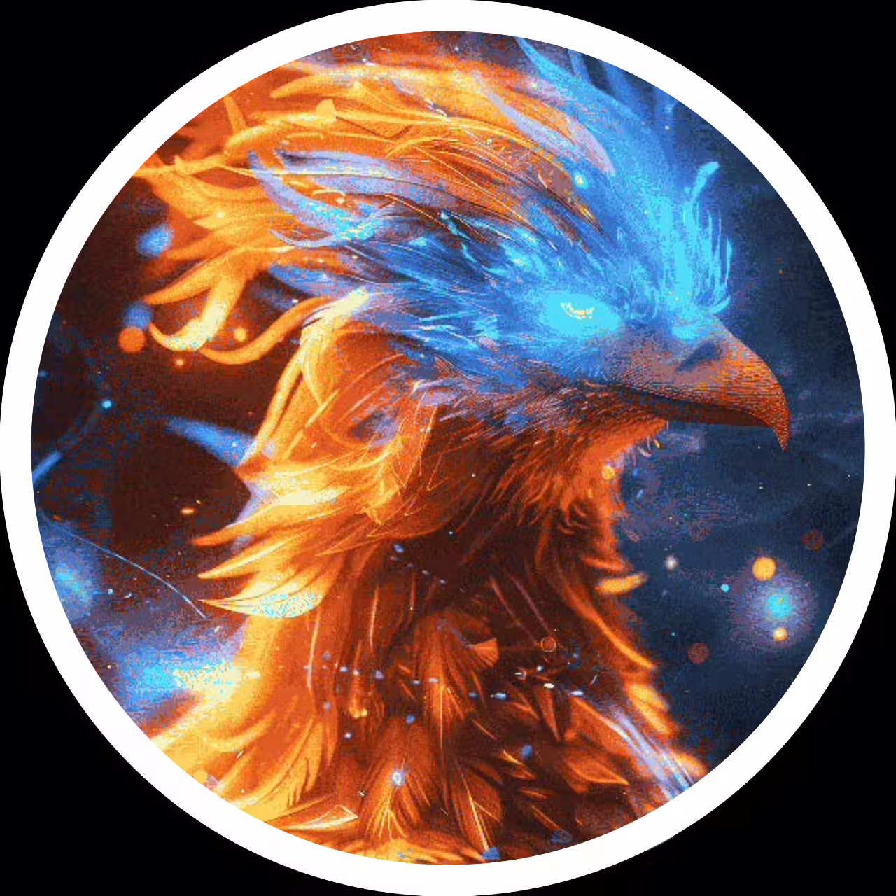 Foto de ●🐦🔥𝗙 Ê 𝗡 𝗜 𝗫🐦🔥●